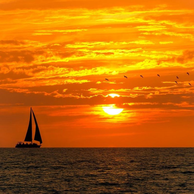 Newport Sunset Sail