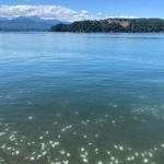 Day Trip: Union, WA