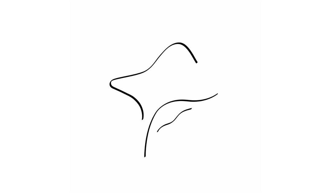 Footer image