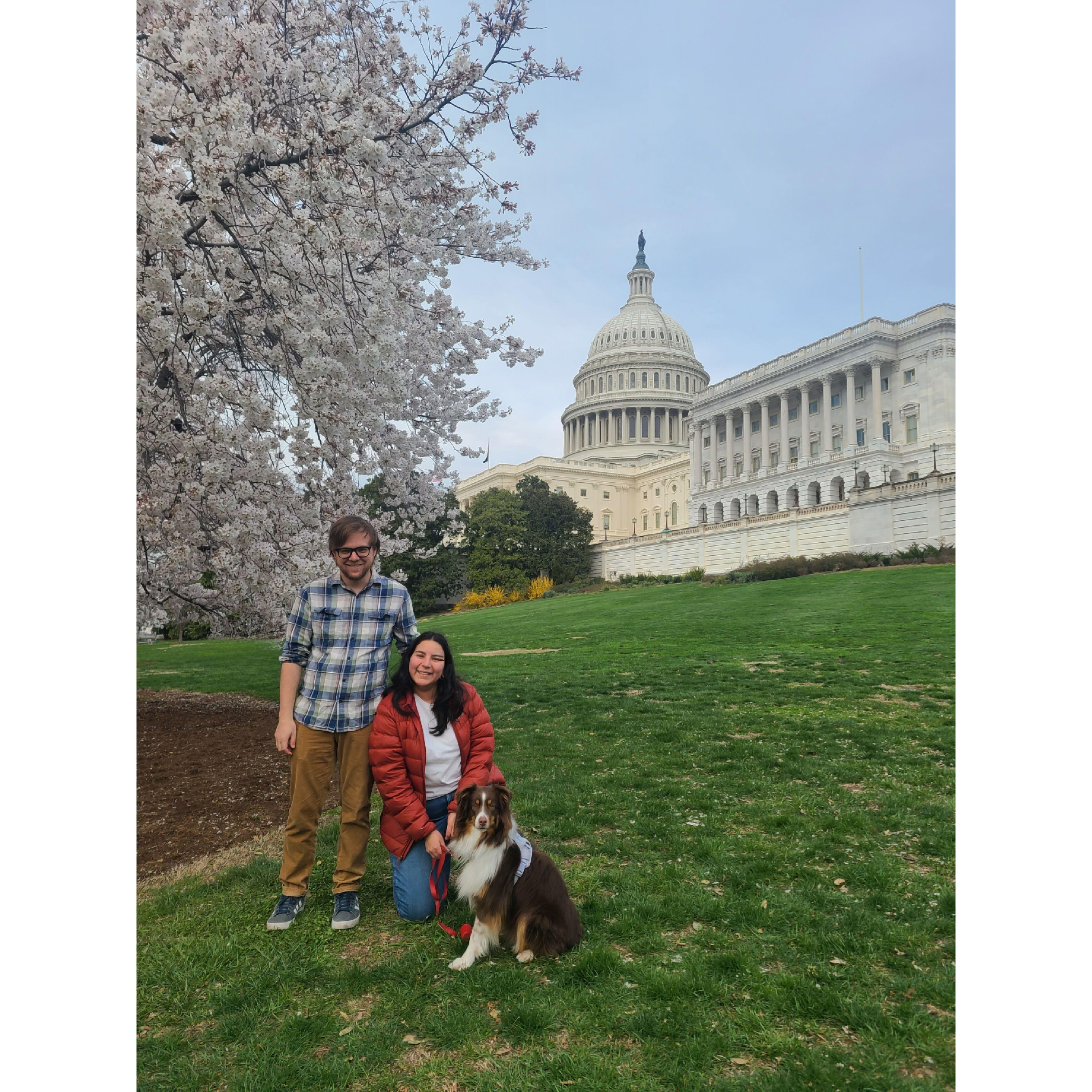 Piper's first walk to the Capitol