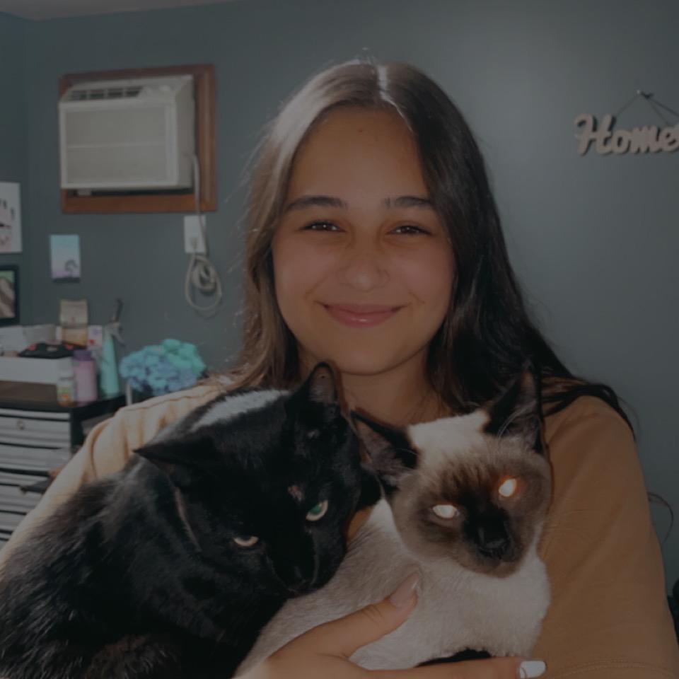 Vika is a MAJOR cat mama. And wants another one ;)