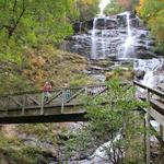 Amicalola Falls State Park