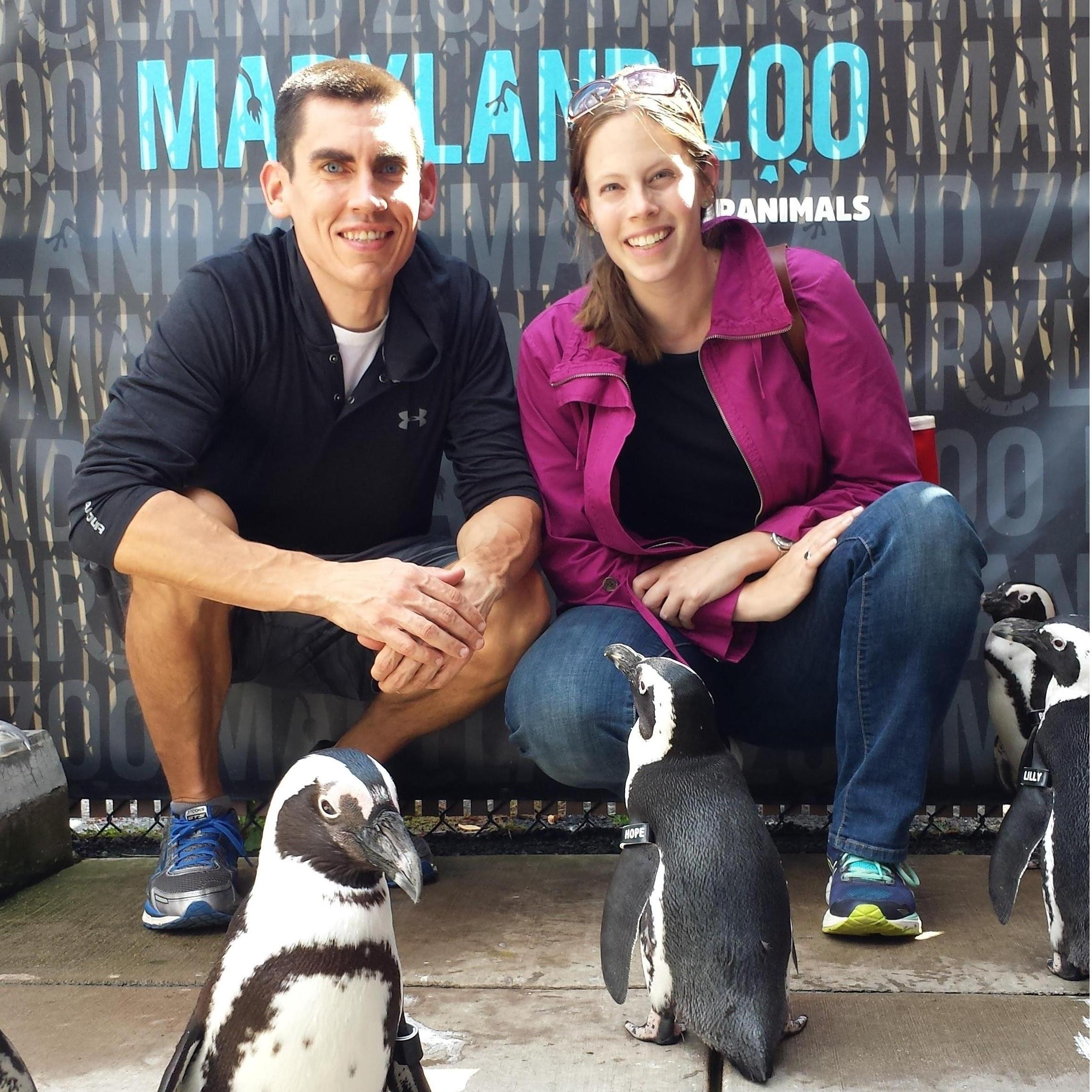 Visiting our adopted penguin at the Maryland Zoo! (2017)