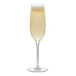 Libbey Signature Kentfield 4-piece Champagne Flute Glass Set
