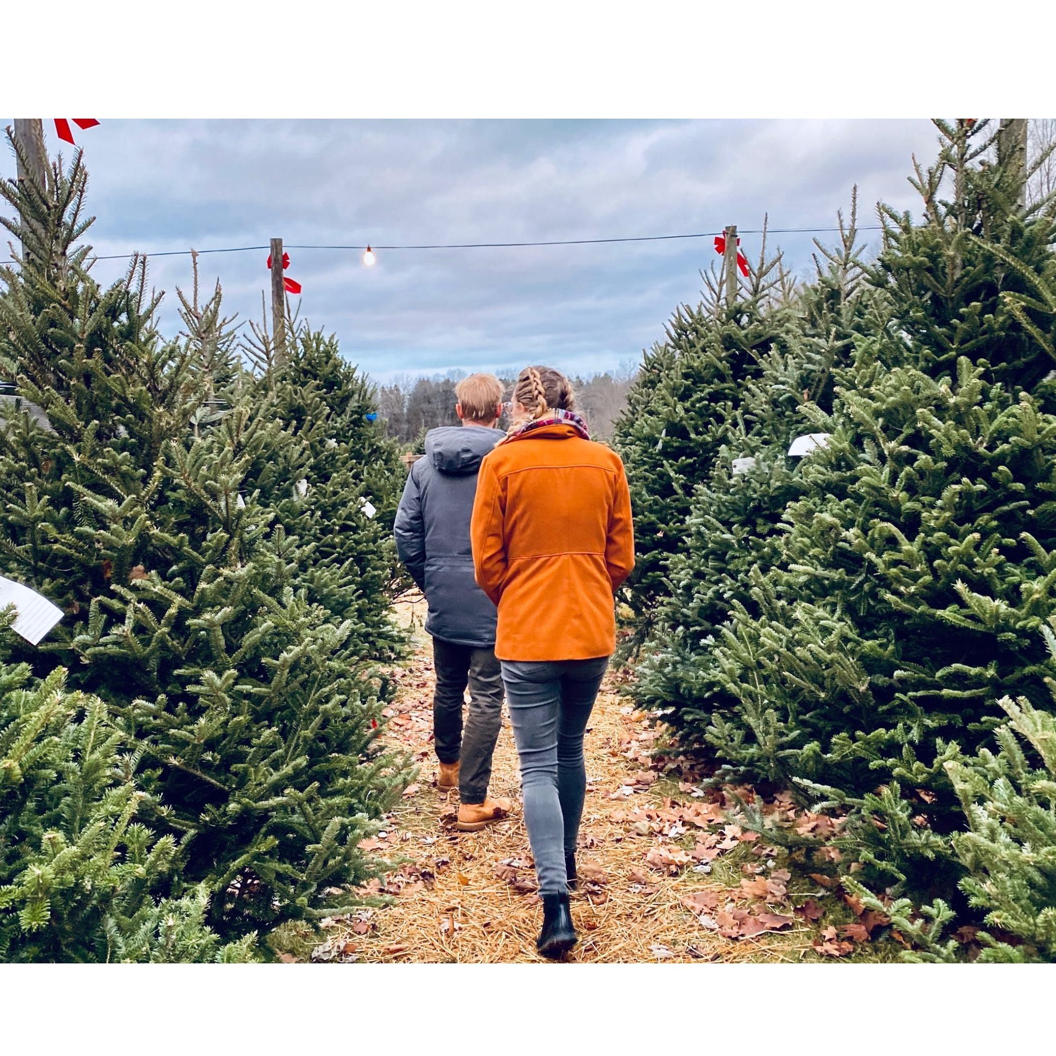 Picking out our Fir(-st) Christmas Tree!
