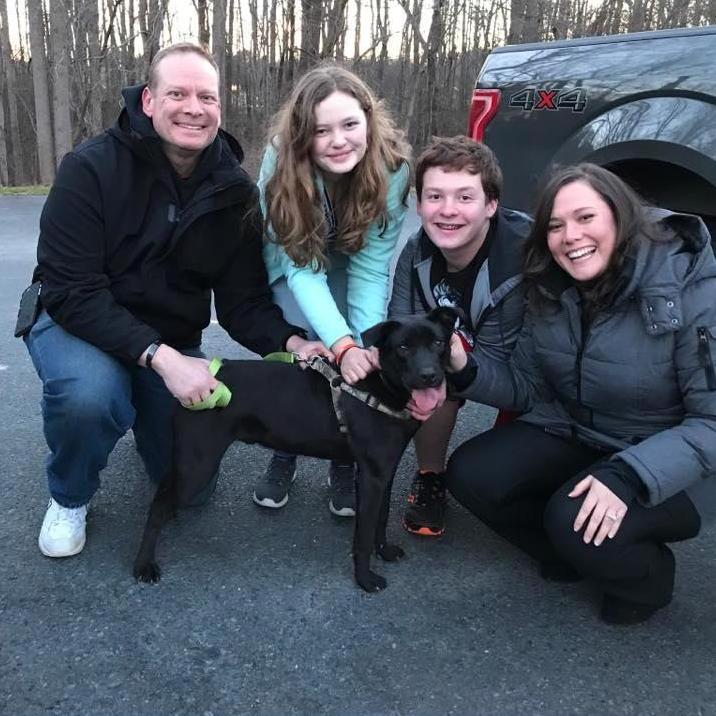 Hershey, our new puppy!