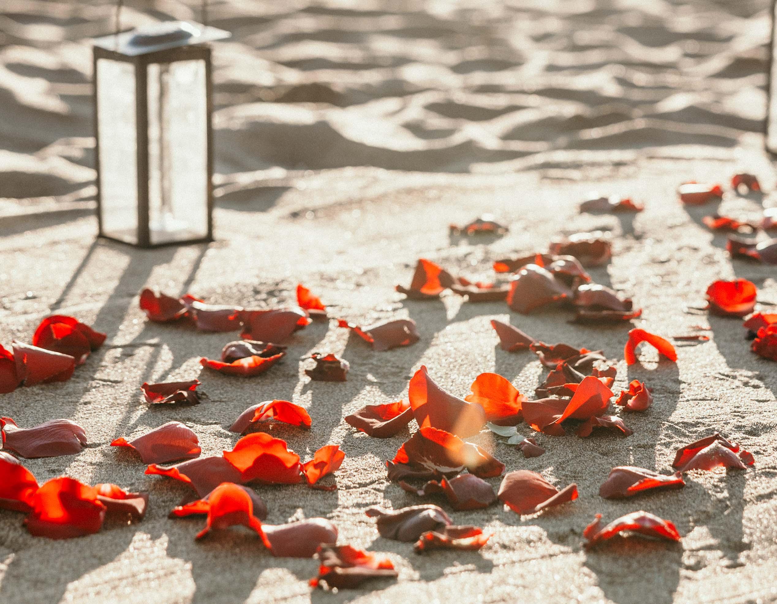 The Wedding Website of Desai Athanaze and Kiera Rose