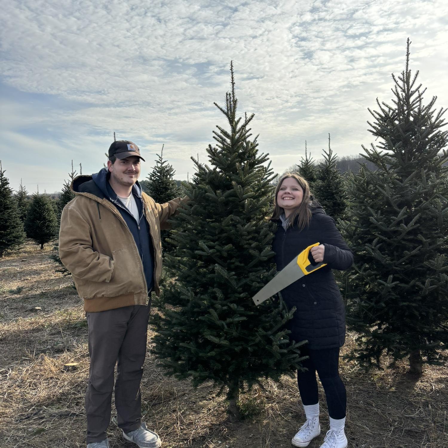 Our first Christmas tree 🌲