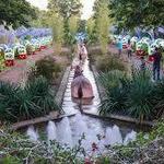 Daniel Stowe Botanical Gardens