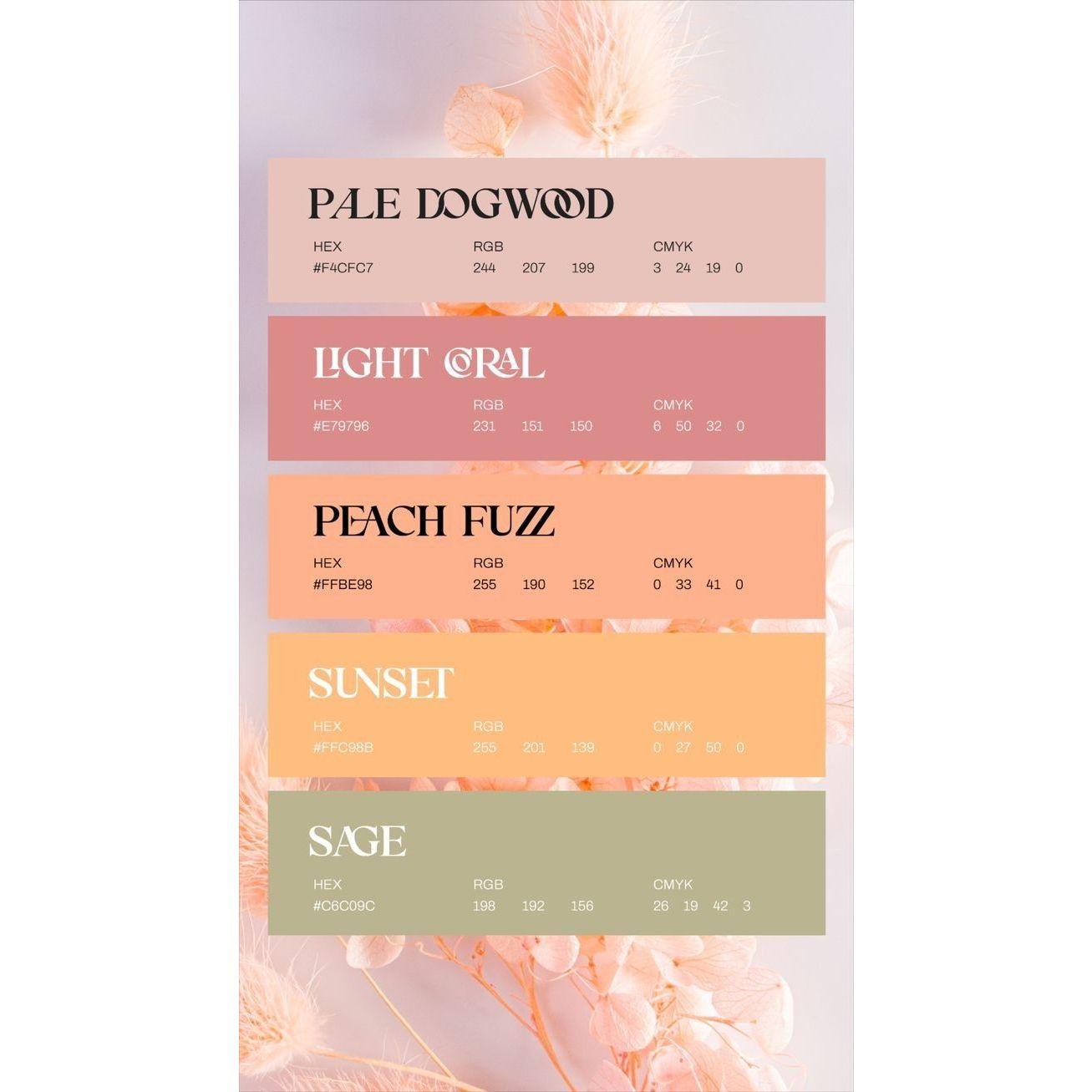 Color Palette