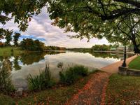 Delaware Park