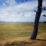 Coyote Point Recreation Area