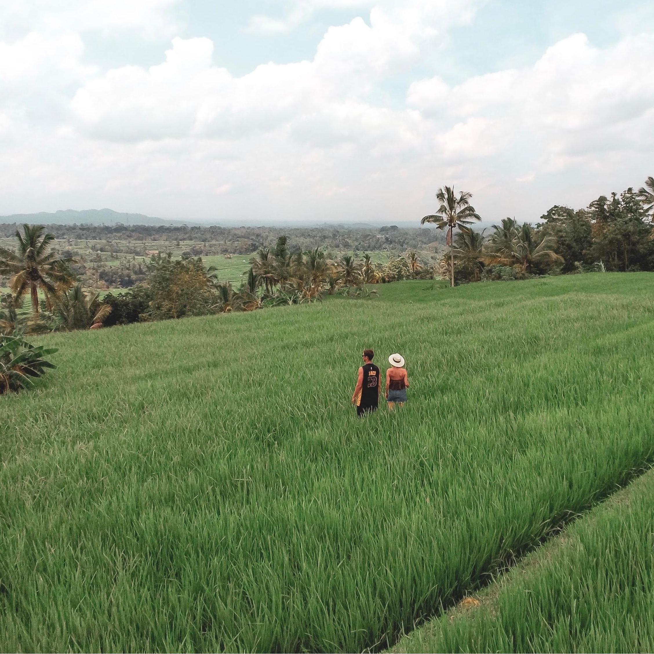 Jatiluwh Rice Terraces 
UNESCO Heritage Site