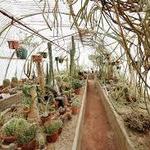 Moorten Botanical Garden