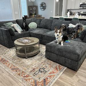New pet friendly furniture