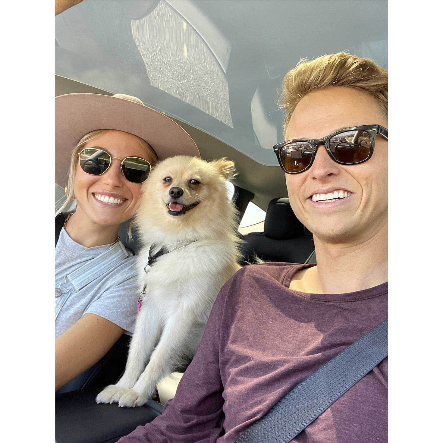 This was taken shortly after adopting our first dog, Jazzy in July 2020. We've since added another to the family, Leo!