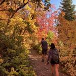 Millcreek Canyon