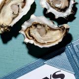 Dylan's Oyster Cellar