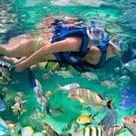 Xel-ha
