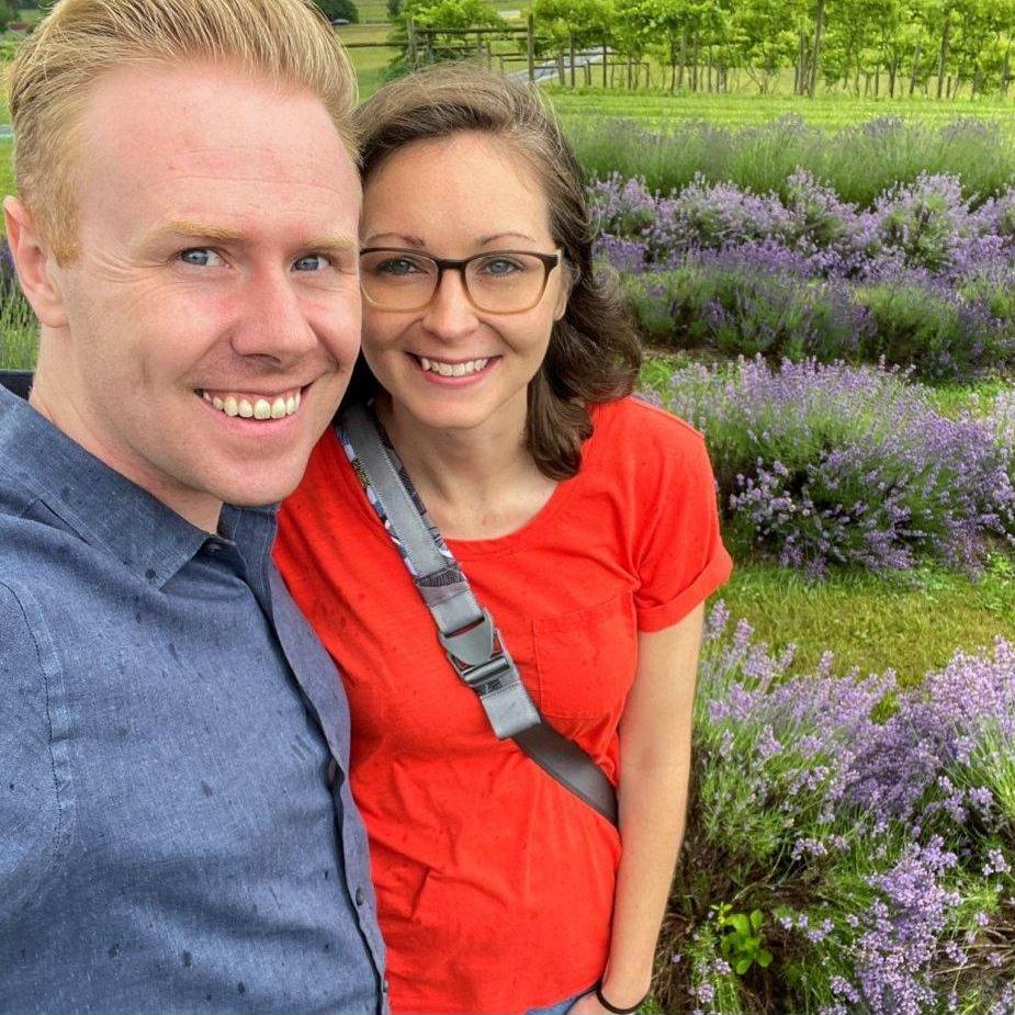 Lavender Fields