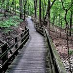 Runge Nature Center