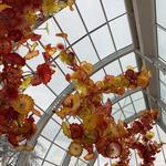 Chihuly Garden and Glass