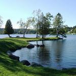 Rangeley Town Cove Park