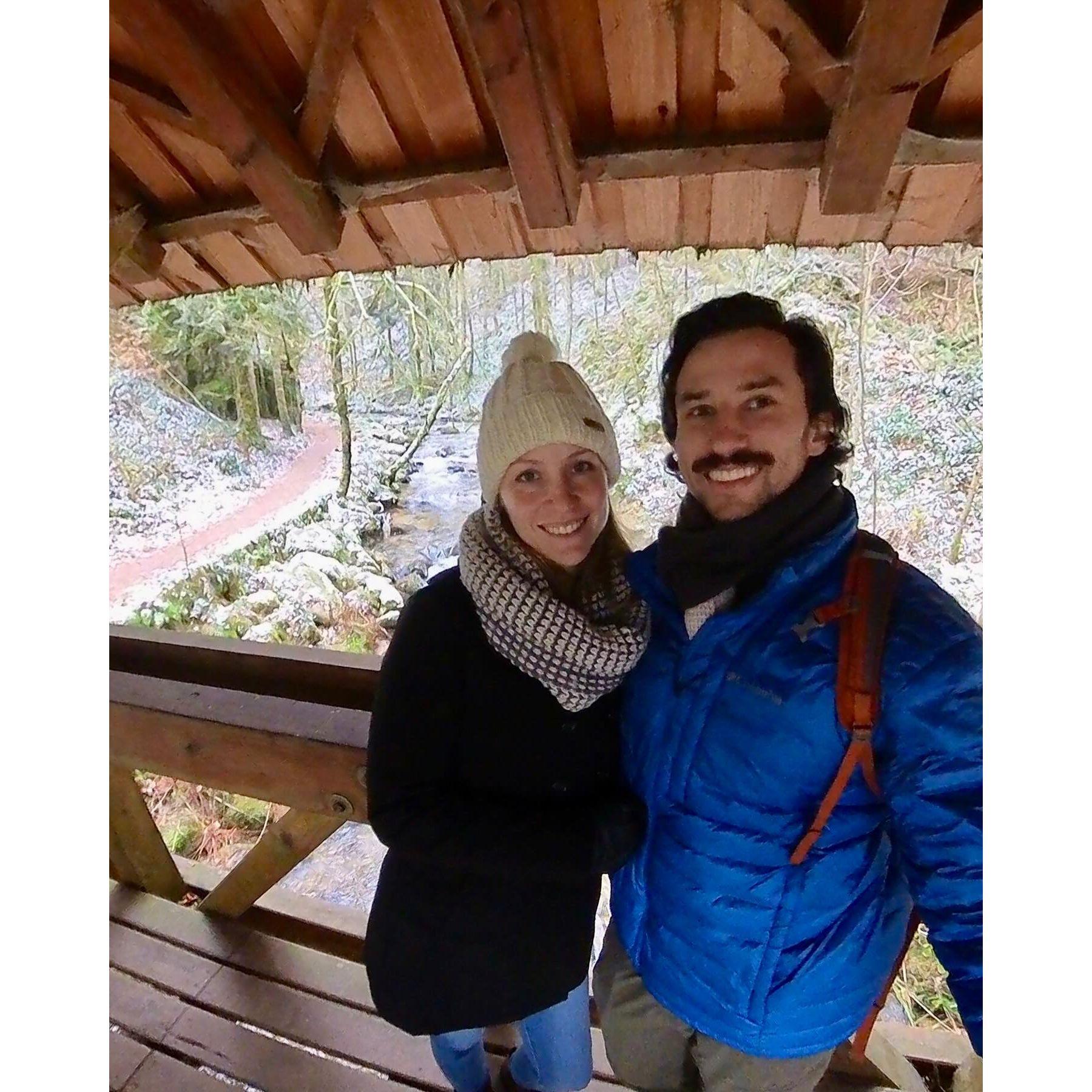 Kyle proposed on this hike through the Black Forest.