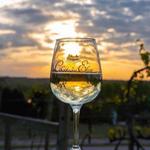 Chateau Elan