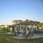 Sunset Meadow Vineyards