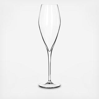 Atelier Champagne Glass, Set of 6