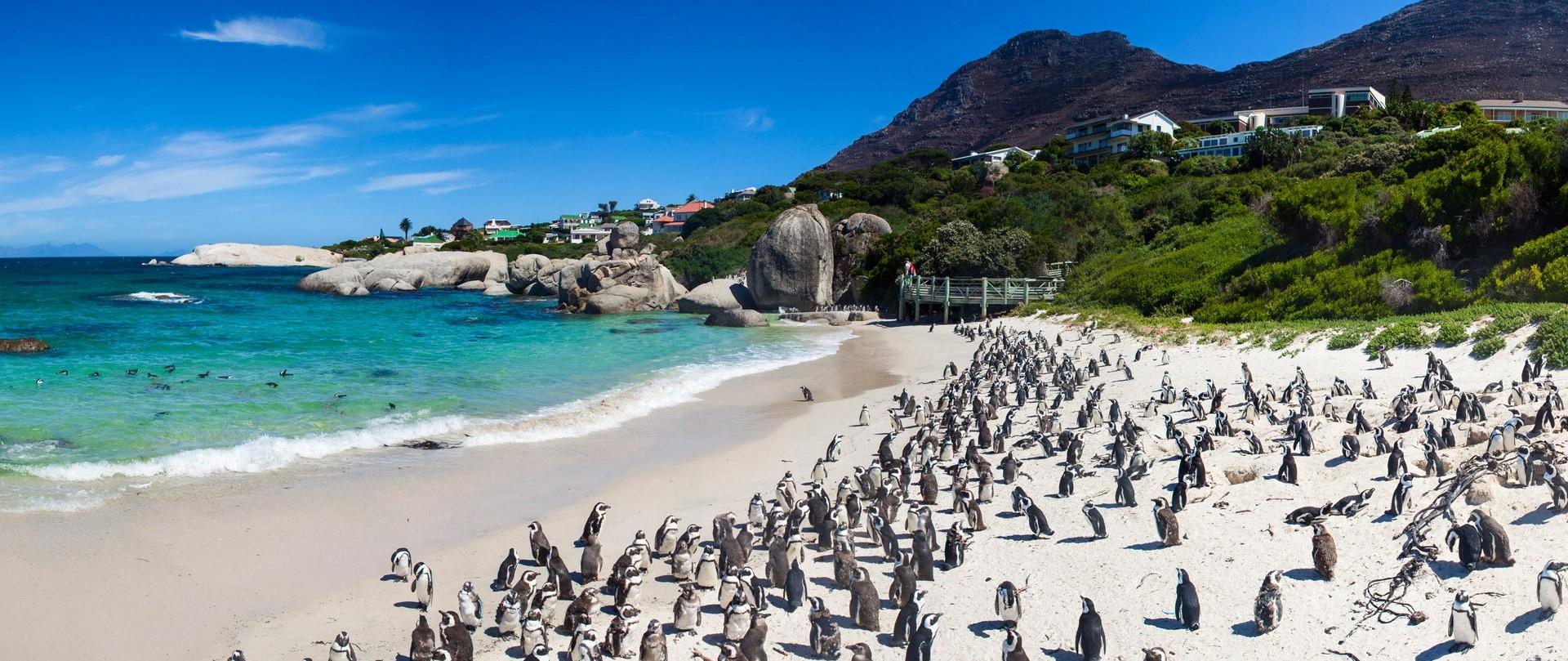 The Wedding Website of rania tayfour and german guillermo castro