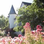 Folktale Winery & Vineyards