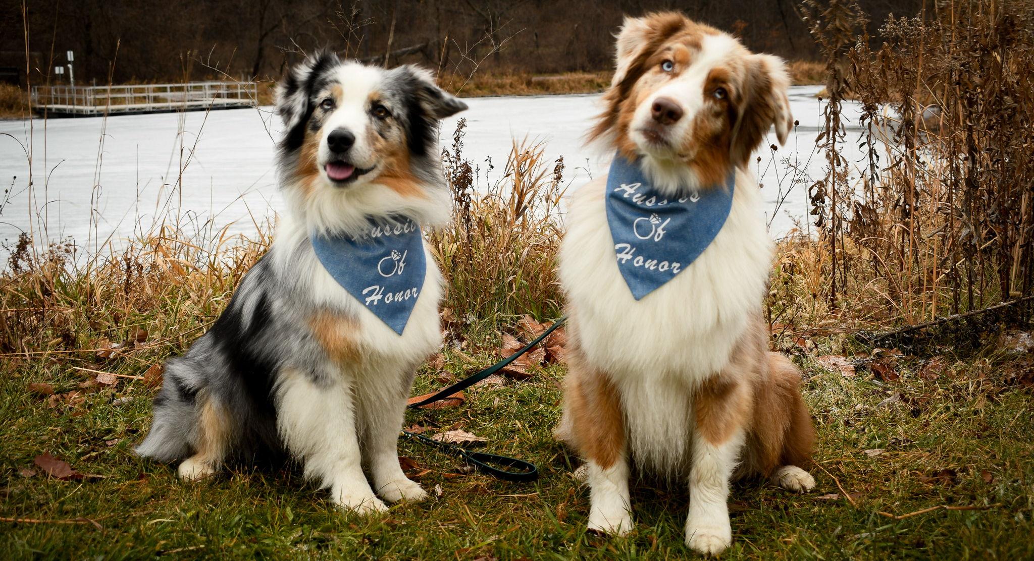 The Wedding Website of Lindsey Wallace and Joseph Gottwald