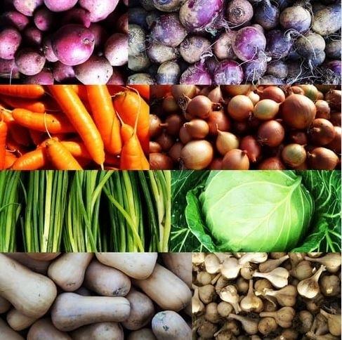 2024 20 Week Small CSA Share