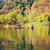 Mangrove Kayak