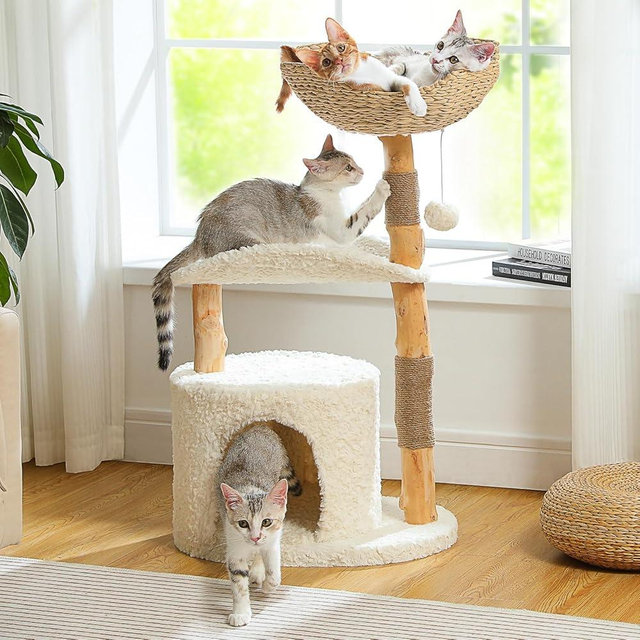 MUTTROS Modern Cat Tree Tower for Large Cats, Wood Cat Tower with Natural Scratching Post, Solid Wood Condo, Real Branch Luxury Cat Furniture with Curved Bed, Top Basket, White