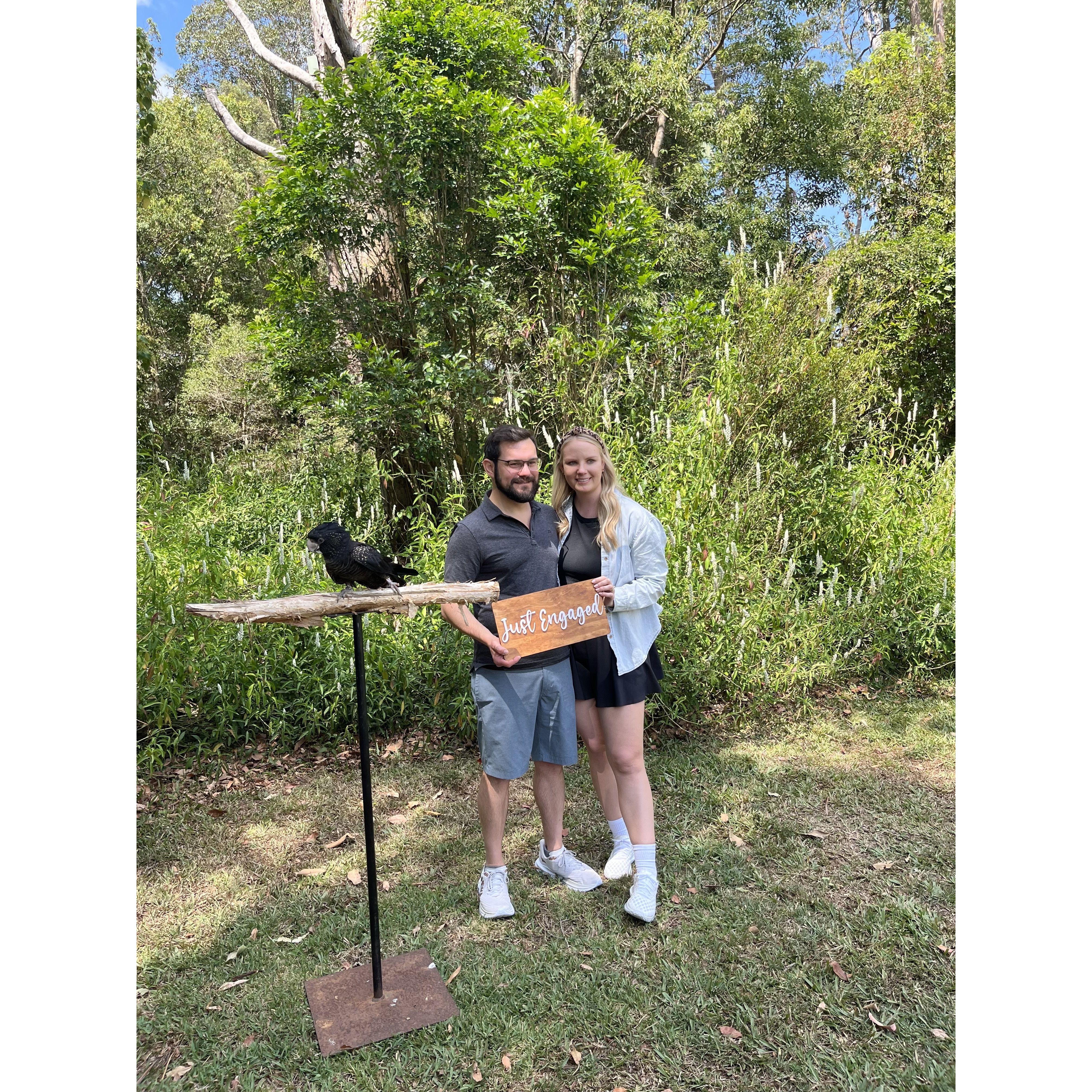 We had a day full of animal encounters at the zoo after the proposal!