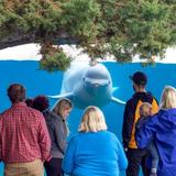 Mystic Aquarium