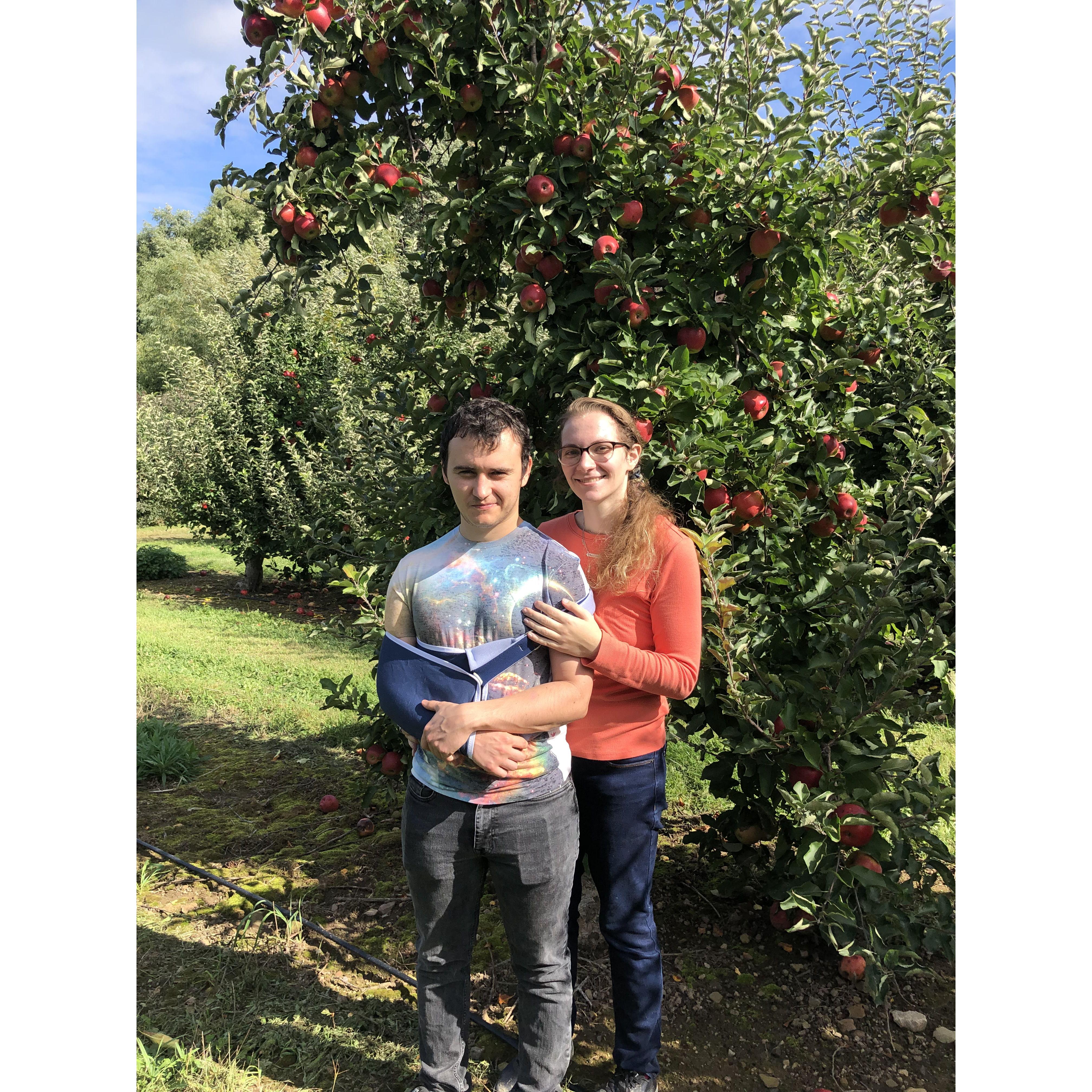 Apple Picking 2021-Will has two broken collar bones