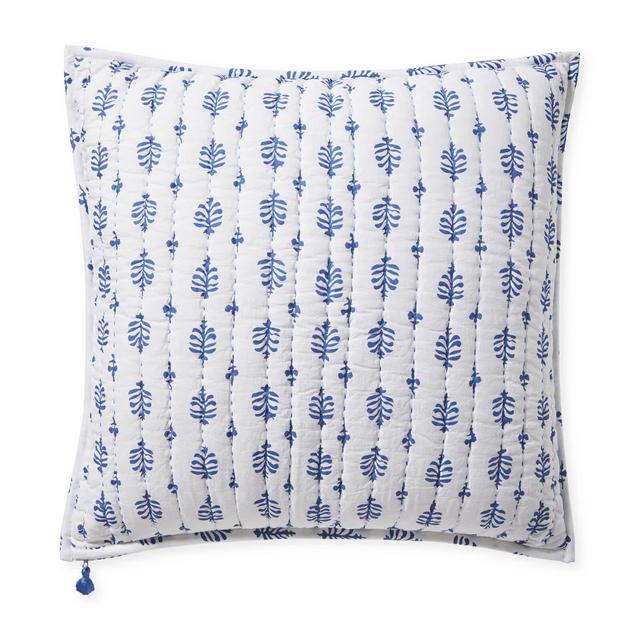 Cambria Shams