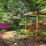 Botanical Garden of the Ozarks