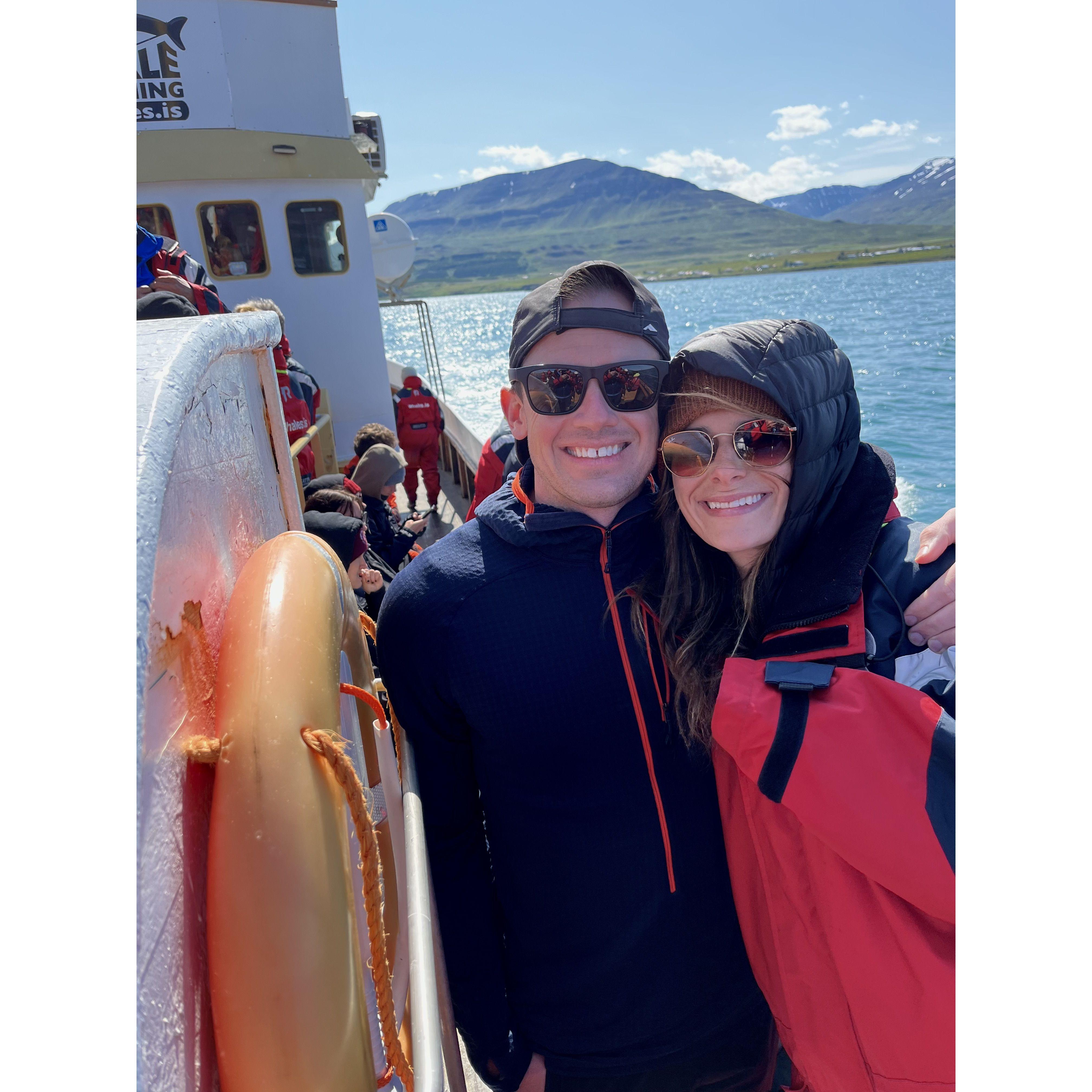Whale watching in Iceland