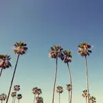 Doheny State Beach
