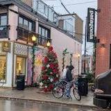 Walnut Street in Shadyside