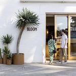 Bloom