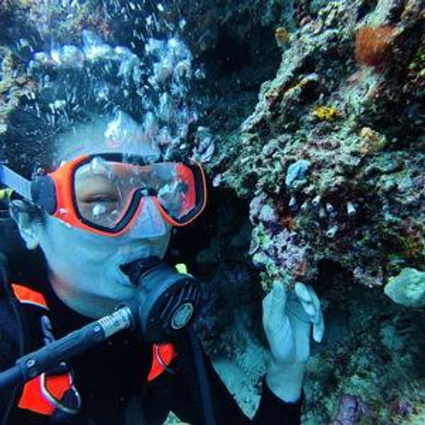Mei Lin's Charity: Marine Megafauna Foundation (Through Website)