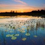 Necedah National Wildlife Refuge