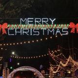 Candy Cane Lane