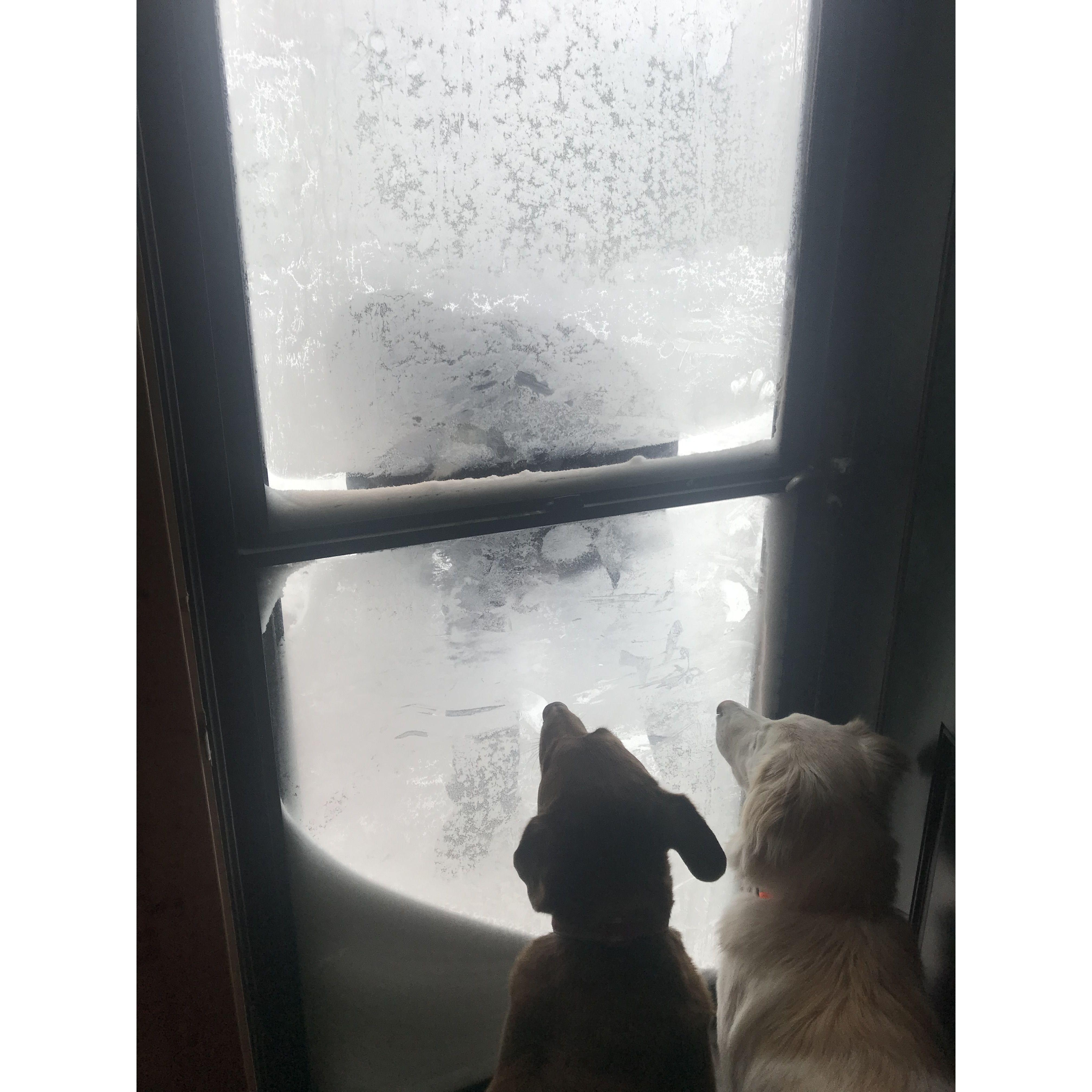 Snowed in on 02/02/2022